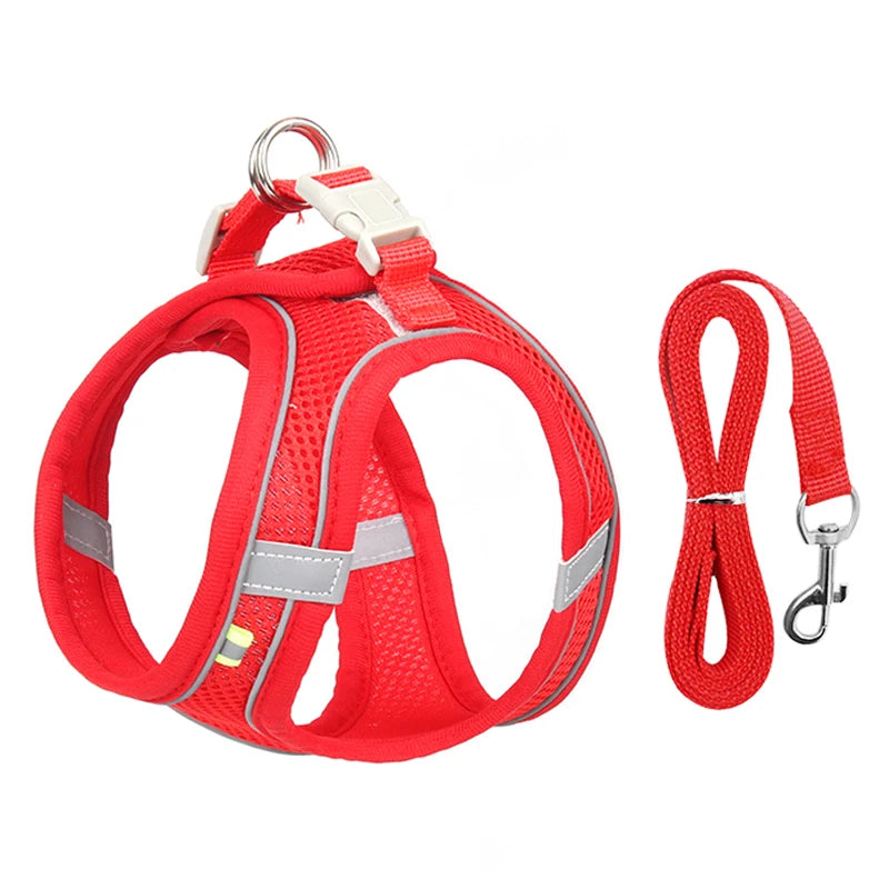 mesh harness and leash set, view 20 - MRSLM