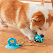 durable dog chew toy with suction cup, view 9 - MRSLM