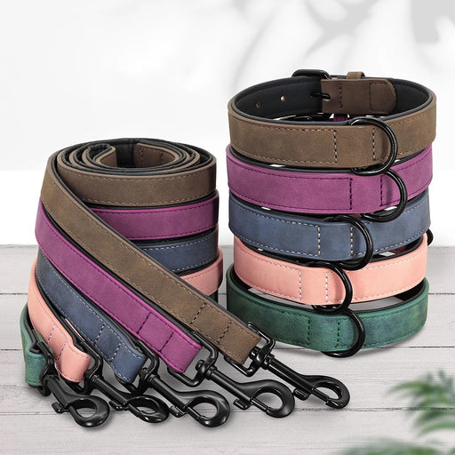durable padded dog collar and leash set - MRSLM