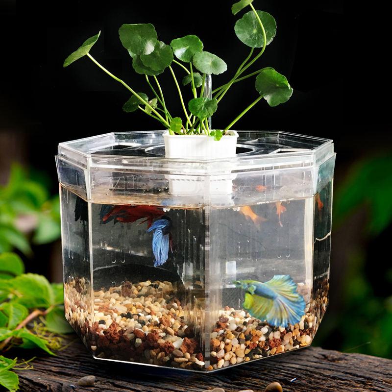 Desktop betta fish tank, view 4 - MRSLM