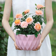 modern wall hanging flower planter, view 7 - MRSLM