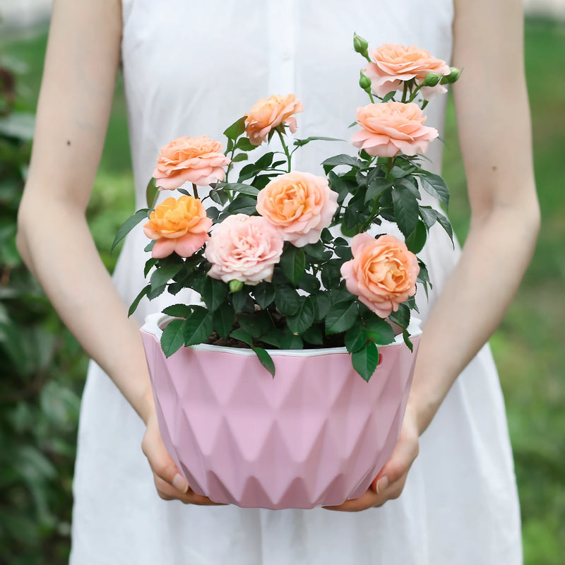 modern wall hanging flower planter, view 7 - MRSLM