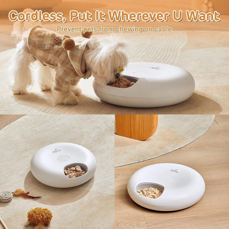 automatic 6-meal cat feeder, view 9 - MRSLM