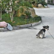 retractable dog leash with anti-slip handle, view 4 - MRSLM