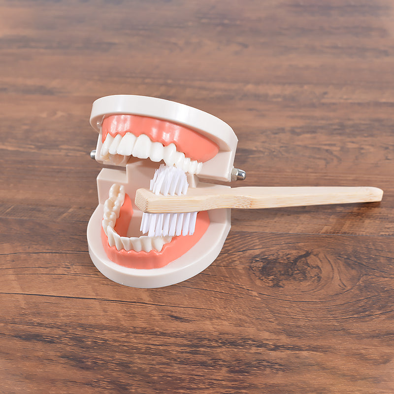 denture cleaning brush, view 4 - MRSLM