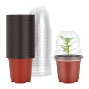 4-inch plant nursery pots with humidity domes, view 2 - MRSLM