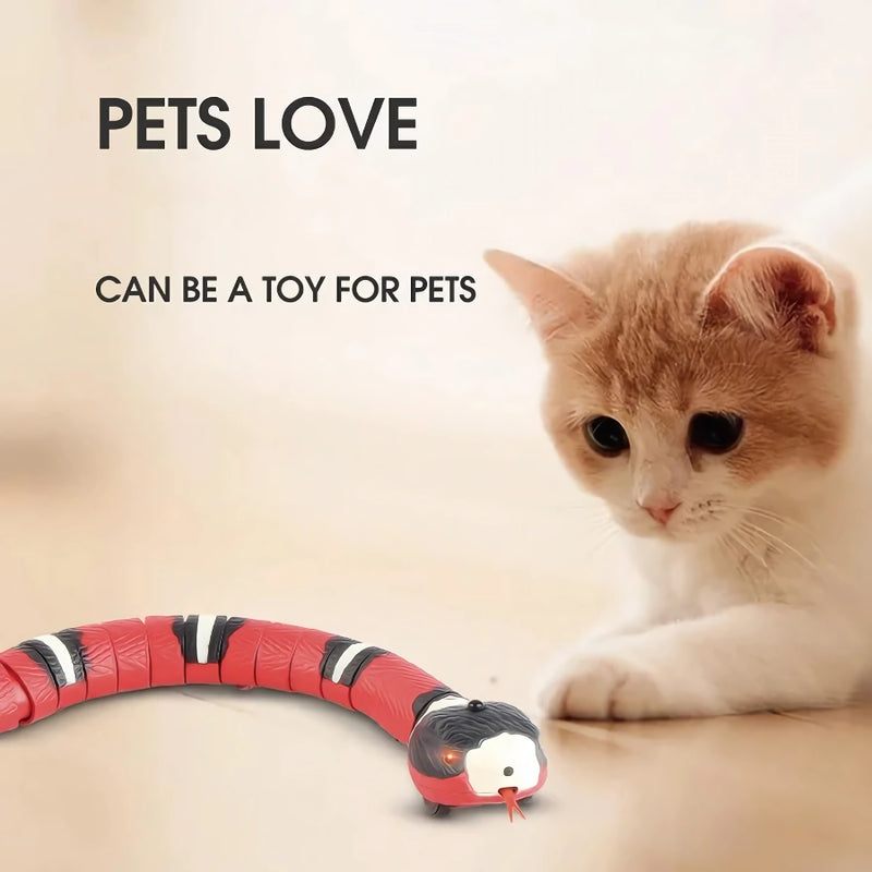electric induction rechargeable cat toy, view 4 - MRSLM