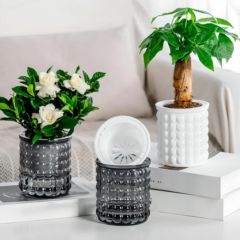 Self-watering hydroponic succulent planter, view 6 - MRSLM