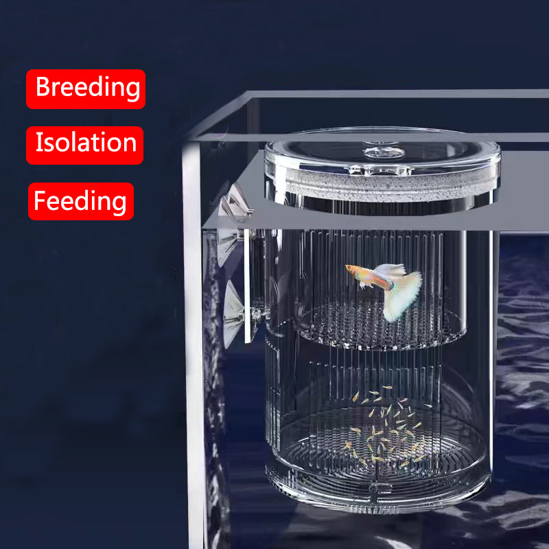 fish breeding isolation box, view 7 - MRSLM