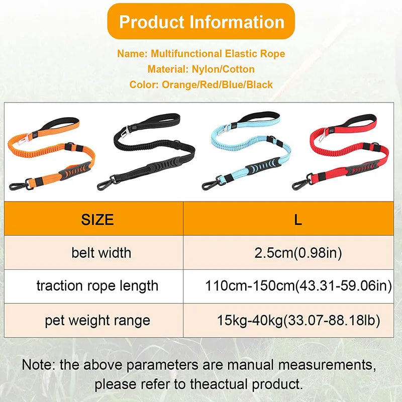 reflective nylon dog leash and seat belt, view 11 - MRSLM