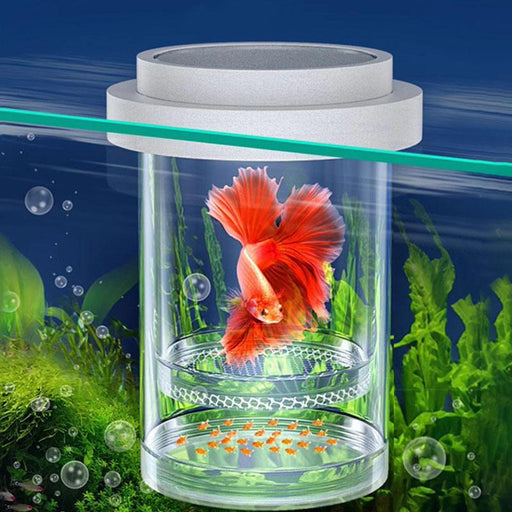 suspension aquarium breeding box - MRSLM