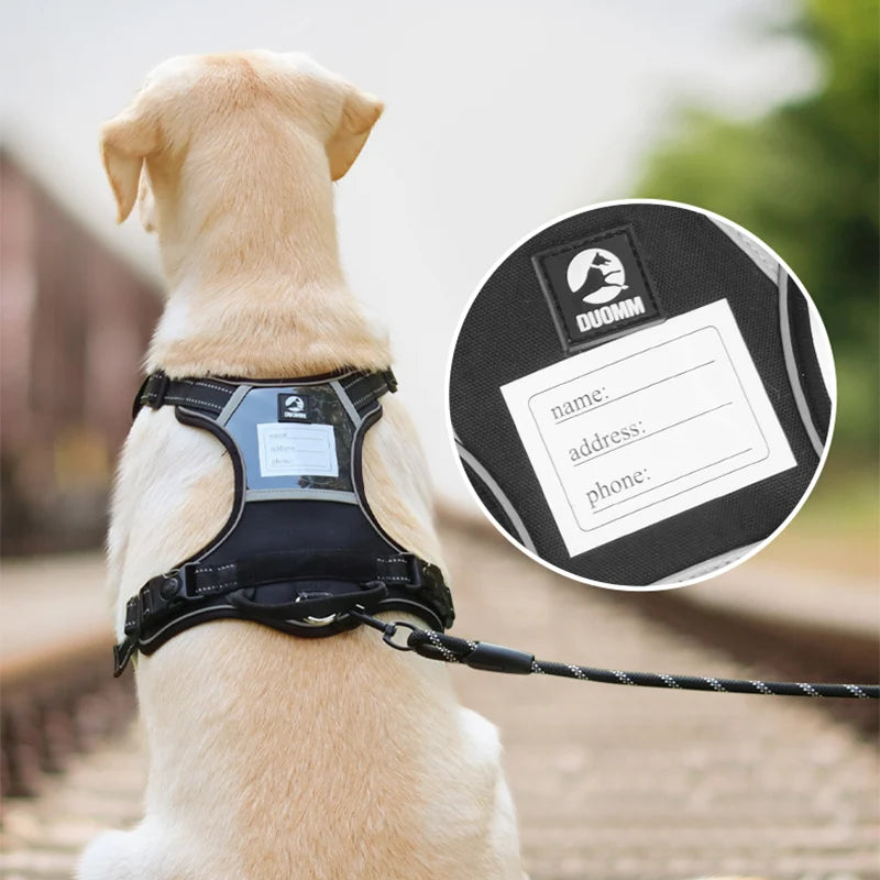 reflective dog harness and leash set, view 4 - MRSLM