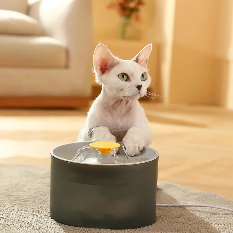 automatic pet water dispenser, view 5 - MRSLM