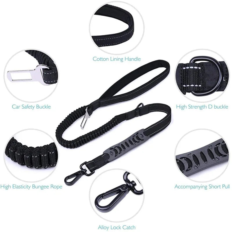 reflective nylon dog leash and seat belt, view 10 - MRSLM