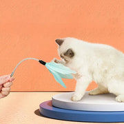 cat turntable ball toy, view 8 - MRSLM
