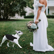dog tuxedo with bow-tie, view 6 - MRSLM