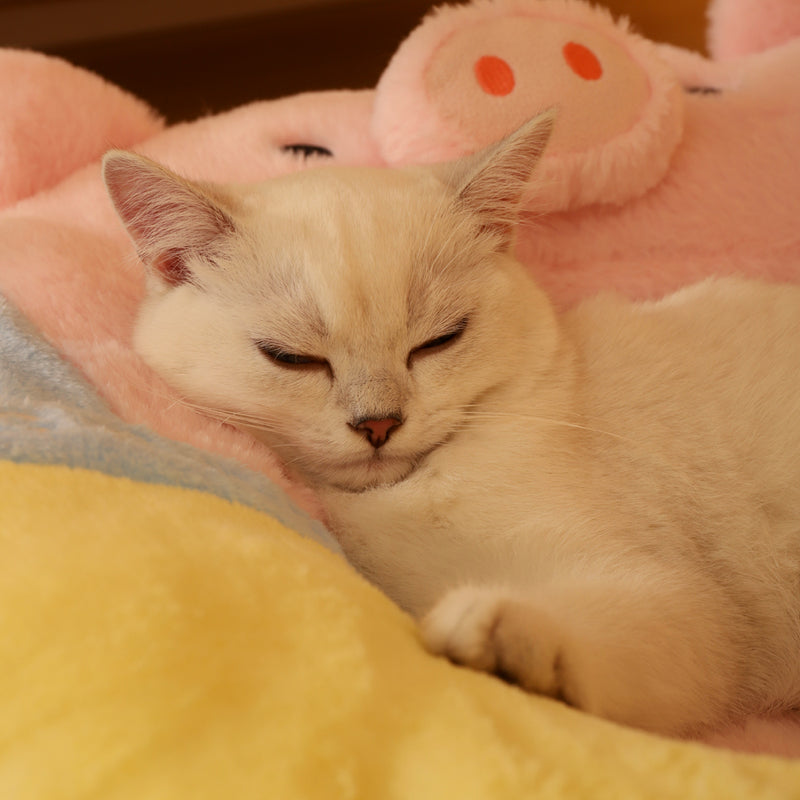 pink pig shaped cat bed, view 3 - MRSLM