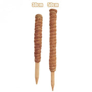 Coir moss stick for indoor plants, view 3 - MRSLM