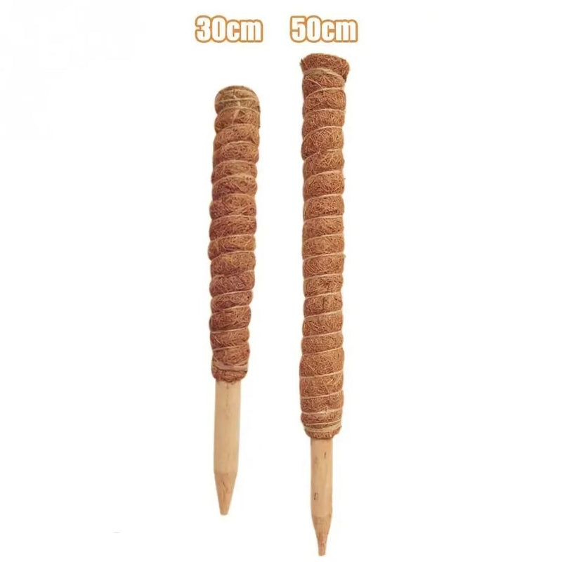 Coir moss stick for indoor plants, view 3 - MRSLM