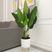 Modern self-watering planter with wooden stand, view 7 - MRSLM