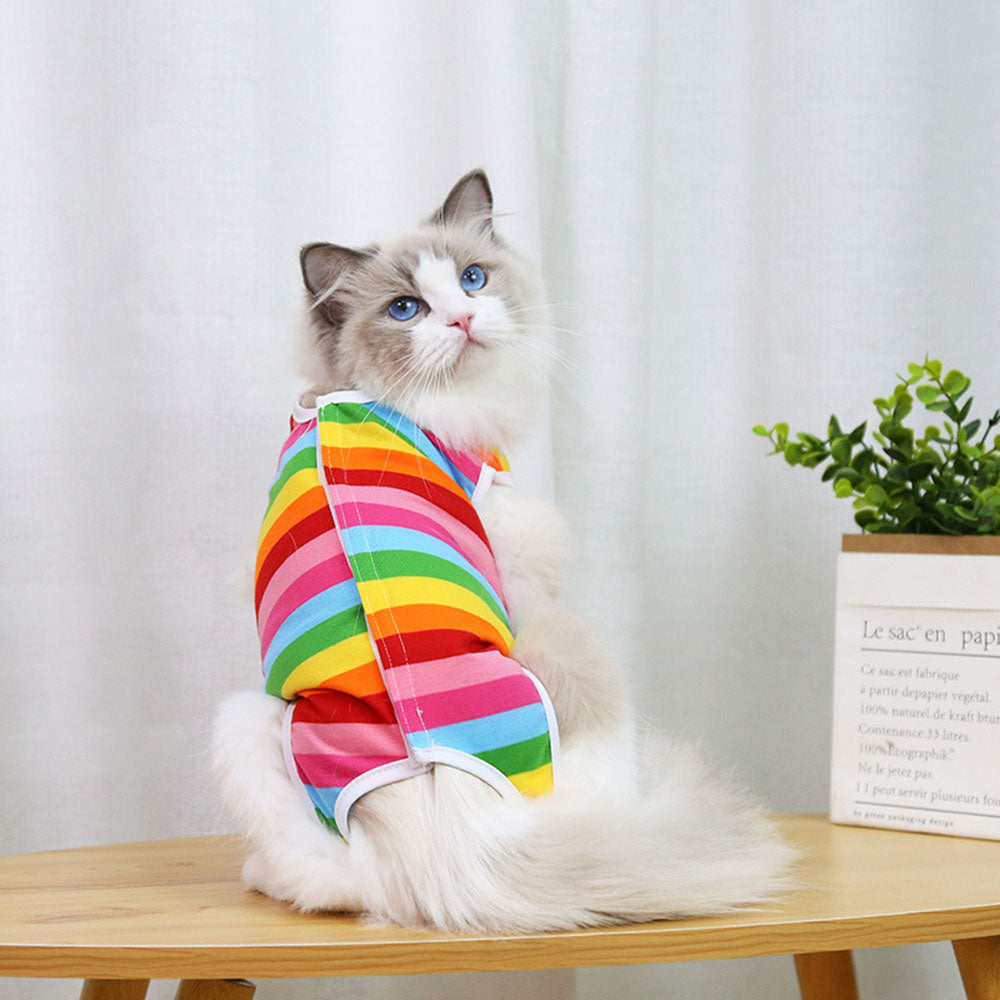 Anti-Licking Pet Suit