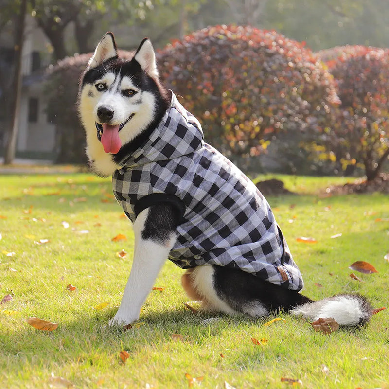 dog winter coat with detachable hood, view 6 - MRSLM