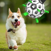dog football toy with grab tabs - MRSLM