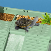 brazilian turtle tank, view 12 - MRSLM