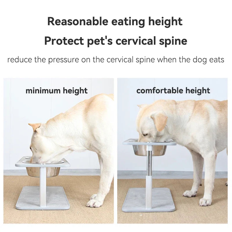 adjustable elevated dog feeder, view 5 - MRSLM