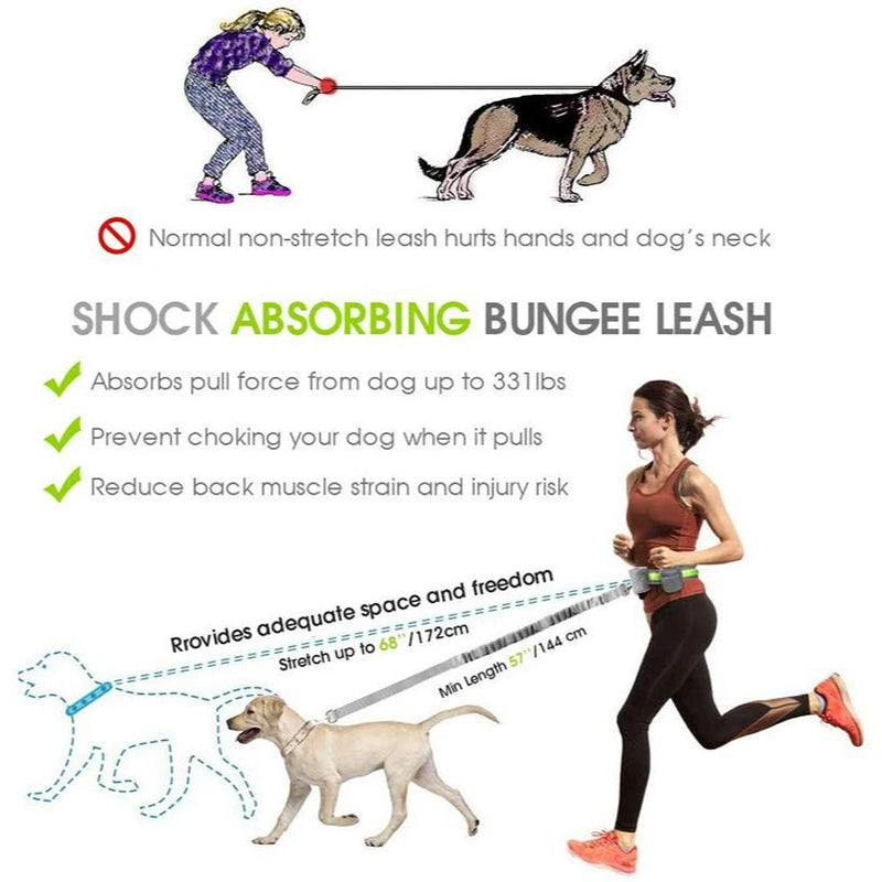reflective hands-free dog leash with waist belt, view 5 - MRSLM