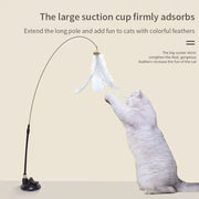 interactive cat toy, view 13 - MRSLM
