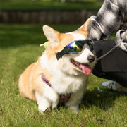 dog sunglasses windproof goggles, view 12 - MRSLM