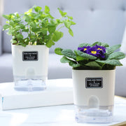reusable self-watering flowerpot, view 2 - MRSLM
