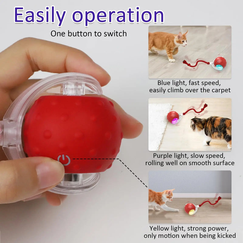 interactive cat rolling ball, view 6 - MRSLM