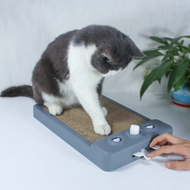 durable cat scratching board, view 5 - MRSLM