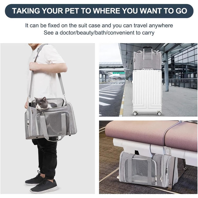 Pet carrier bag for small dogs and cats, view 7 - MRSLM