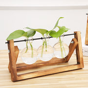 hydroponic glass vase - MRSLM
