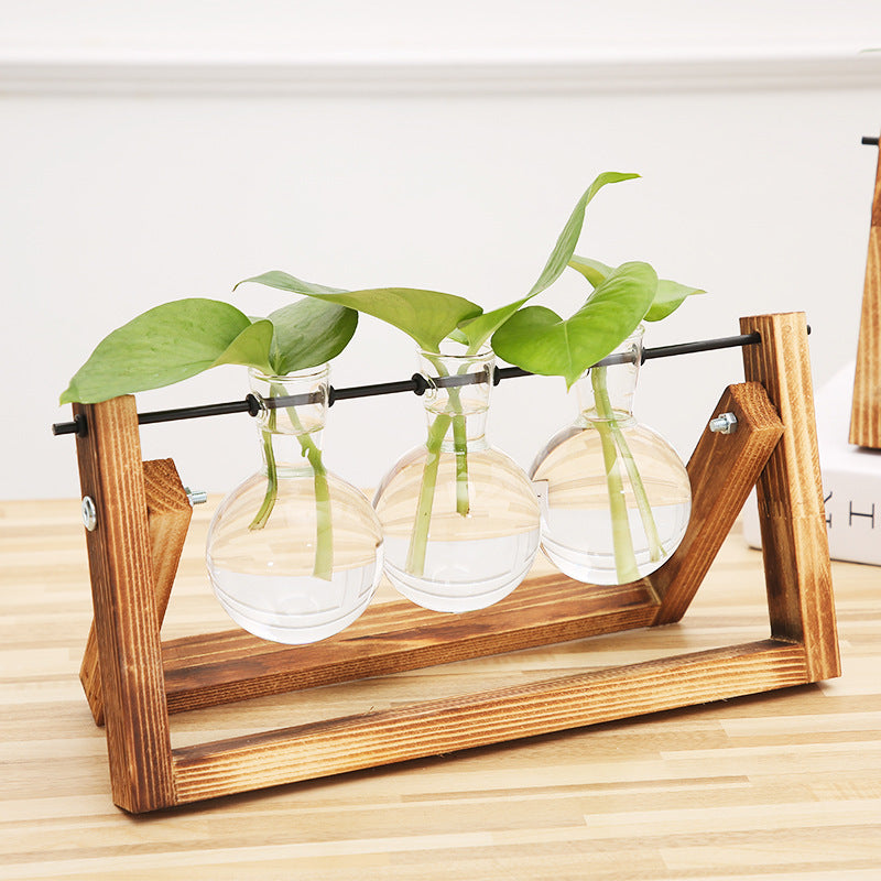 hydroponic glass vase - MRSLM