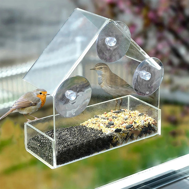 window bird feeder house, view 3 - MRSLM