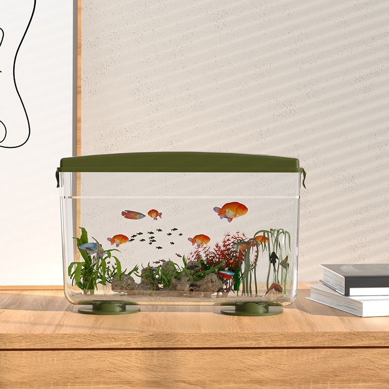 simple ecological desktop fish tank, view 4 - MRSLM