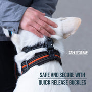 reflective dog muzzle and leash set, view 8 - MRSLM