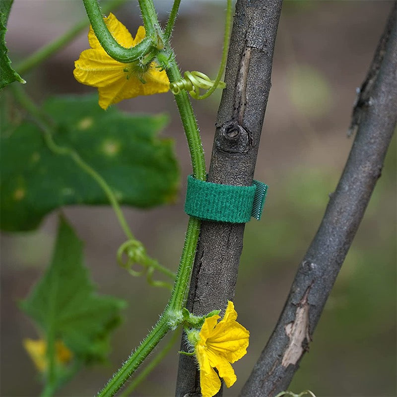 nylon plant ties, view 6 - MRSLM