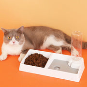 pet double bowl with water dispenser, view 4 - MRSLM