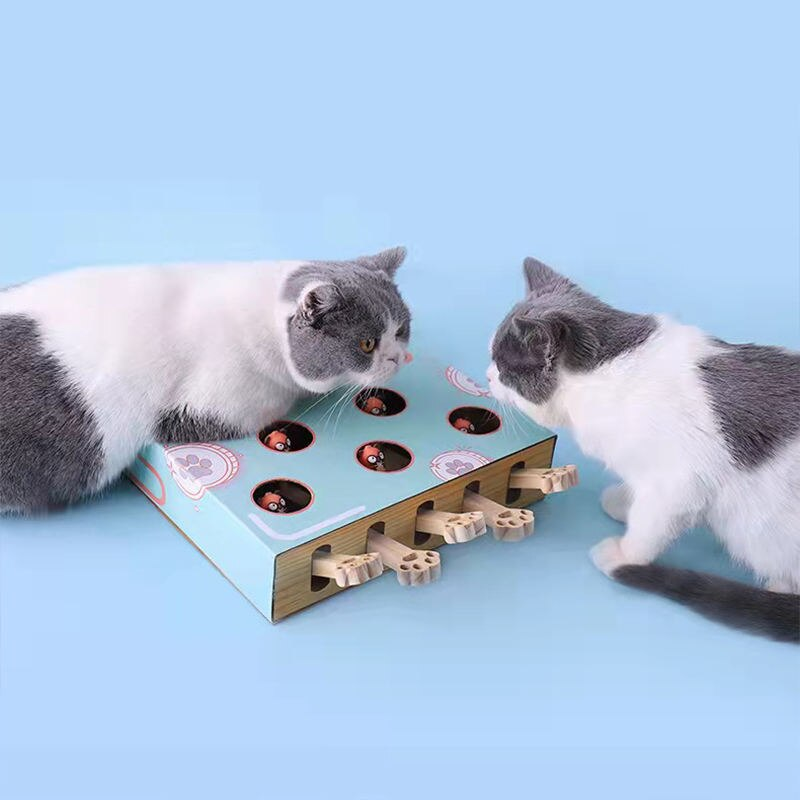 cat puzzle toy - MRSLM
