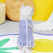 kitten recovery suit, view 2 - MRSLM