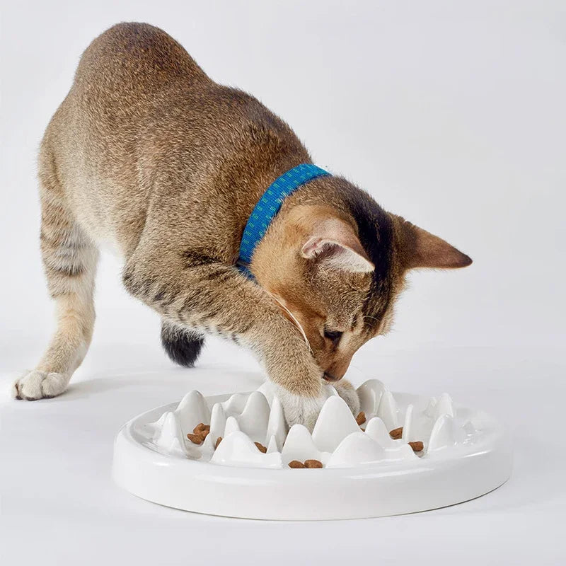Ceramic slow eating bowl, view 5 - MRSLM