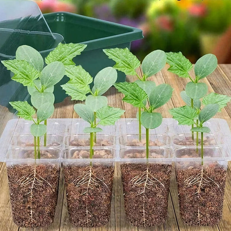 12-hole seed starter tray with cover - MRSLM
