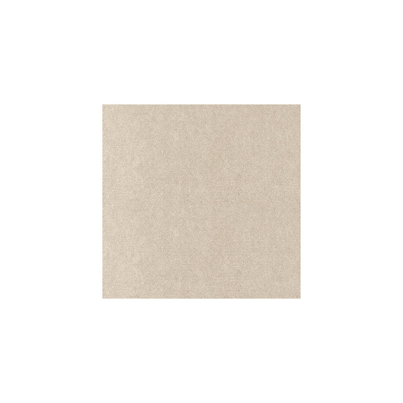 Self-Adhesive Cat Scratch Guard for Sofas and Walls