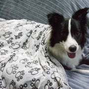 soft warm dog blanket with paw print, view 3 - MRSLM