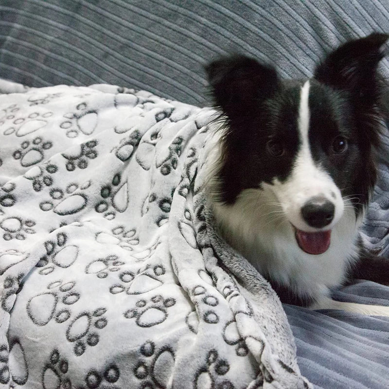 soft warm dog blanket with paw print, view 3 - MRSLM